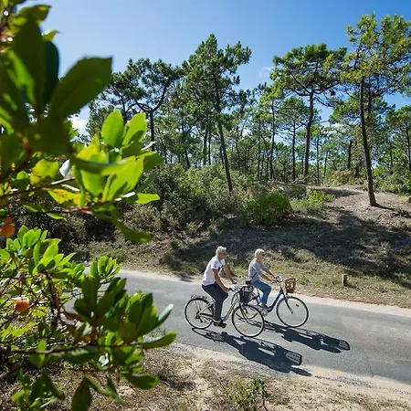 En Plein Centre, Jolie Maison Pour 6 Avec Jardin * Beauvoir-sur-Mer