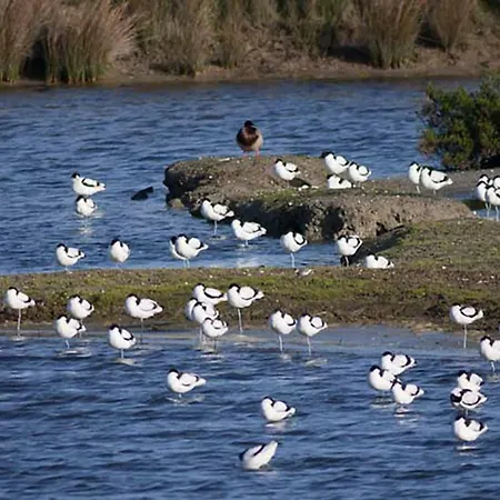 Feriehus En Plein Centre, Jolie Maison Pour 6 Avec Jardin