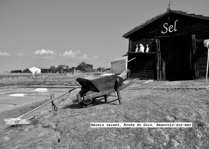 En Plein Centre, Jolie Maison Pour 6 Avec Jardin Vakantiehuis Beauvoir-sur-Mer