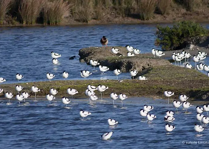 Vakantiehuis En Plein Centre, Jolie Maison Pour 6 Avec Jardin